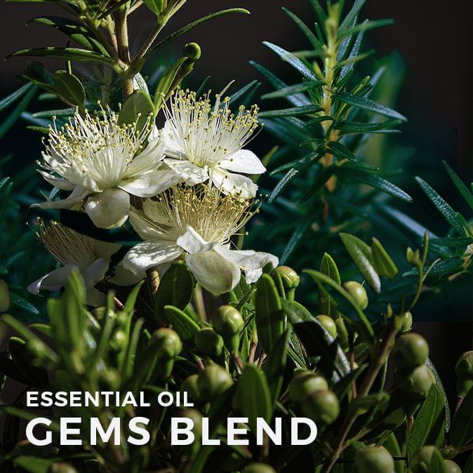 Gems Blend