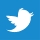 tw-icon